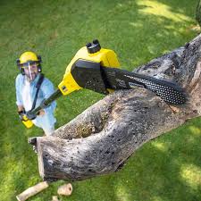 Lawn Drainage Solutions in Rockport, TX