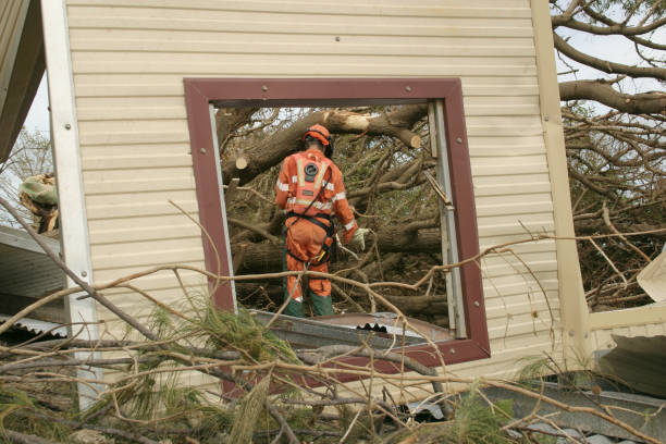 Leaf Removal in Rockport, TX